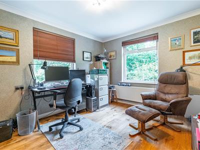 Picture 13